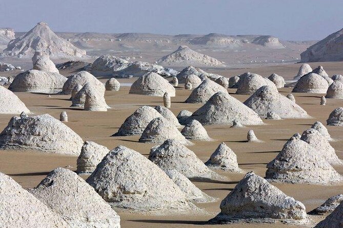 2 Day Bahariya Oasis White Desert Tour - Cold spring swim and sandboarding: the fun you can control