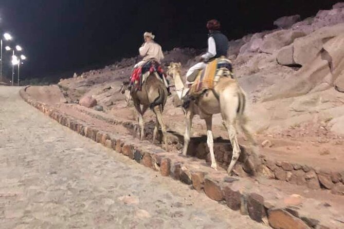 2-Day St Catherine and Moses Mountain Tour from Cairo - Price and value: does $390 per person make sense?