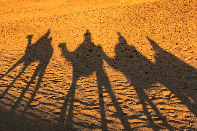 2 days cairo and giza attractions plus Gem, private tour - Saqqara Step Pyramid of Djoser: Early Stone History and Tombs