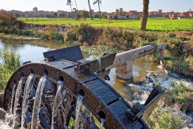 2 Days Camping Trip PRIVATE in Fayoum Oasis from Cairo - Key highlights to know before you go