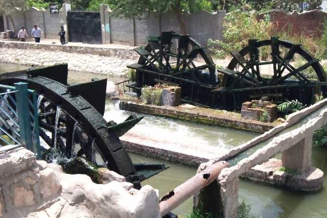 2 Days Camping Trip PRIVATE in Fayoum Oasis from Cairo - Why Fayoum Oasis is a smart escape from Cairo