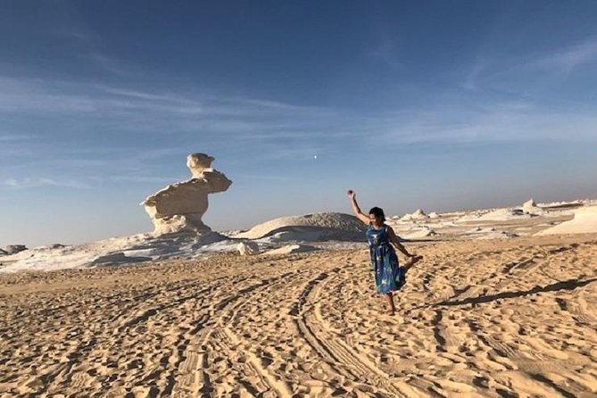 2 Days White Desert and Bahariya Oasis Tour - The logistics that matter on a desert trip