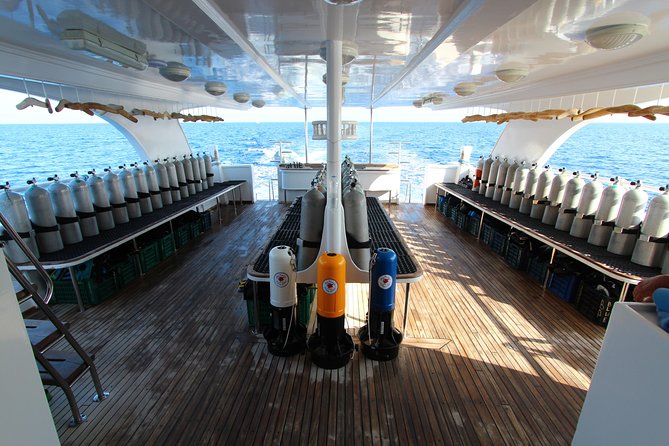 2-Dive adventure-Safe & Top-rated boat for Certified Divers - Lunch Onboard and Downtime: Where the Day Actually Feels Like a Vacation