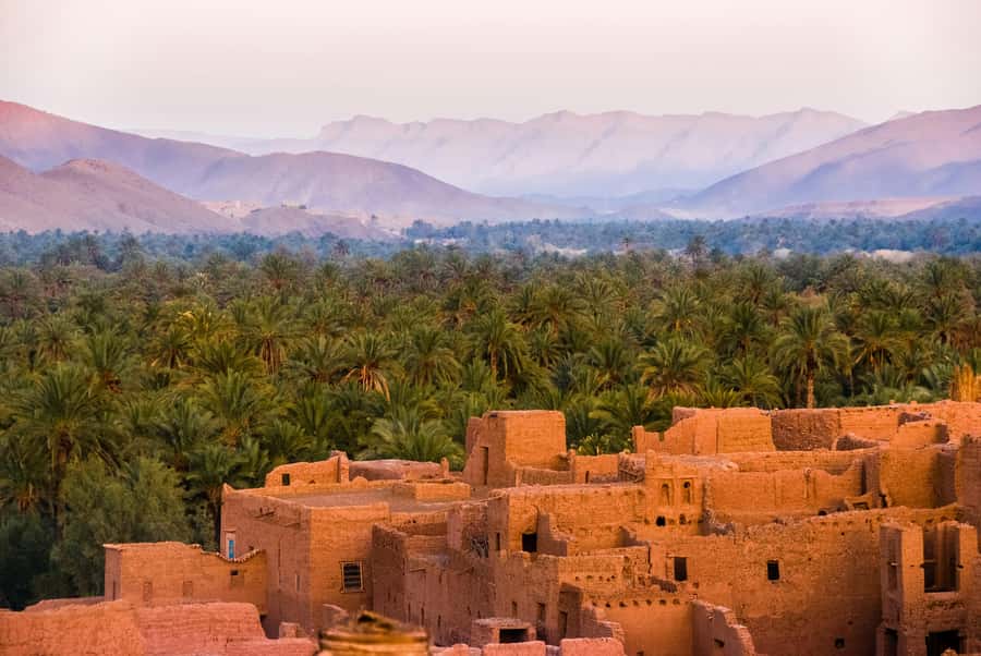 2 Nights 3 Days at Siwa Oases camp from Cairo - Price and value: is $400 per person a smart deal?