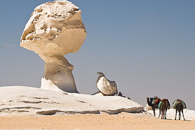 3 Days 2 Nights White Desert and Bahariya Oasis Tour - Leaving Cairo the right way: private transfers and a sensible start