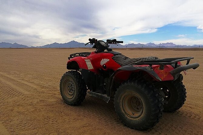 3 Hours Quad Bike Desert Safari with Camel Ride from Marsa Alam - Key highlights you should care about
