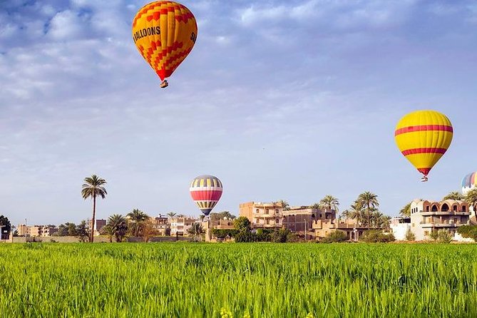 3 Nights Cruise Aswan to Luxor including Abu Simbel, Nubian Village&Air Balloon - Abu Simbel in a small-group format, then Kom Ombo and Edfu