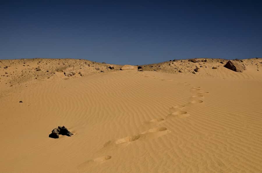 4-Day Bahariya Oasis and African Sahara Camping Adventure. - The main tradeoffs: comfort, time, and the passport step