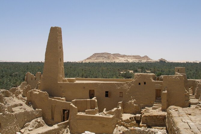 4 days tour package to Siwa oasis from Cairo - Price and value: what $1,045.71 per person is really buying
