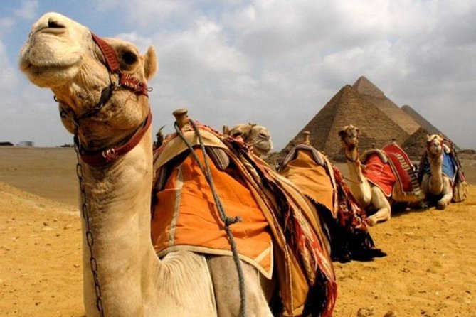 6 Hours visit to Giza pyramids sphinx and Sakkara - Why this Giza and Saqqara combo tour is such good value