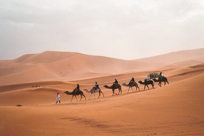 8-Hour Tour Giza Pyramids, Egyptian Museum and Cairo Bazaar - Should You Book This 8-Hour Giza, Museum, and Bazaar Tour?