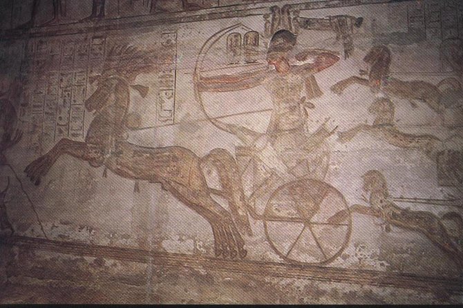 Abu Simbel Temples from Aswan - Who This Tour Suits Best