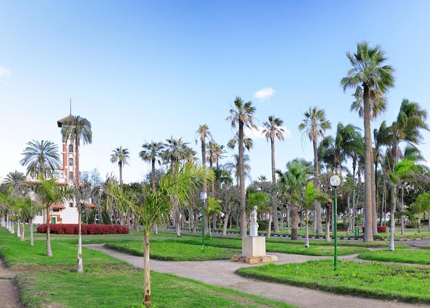 Alexandria Full Day Trip - Key things to know before you go