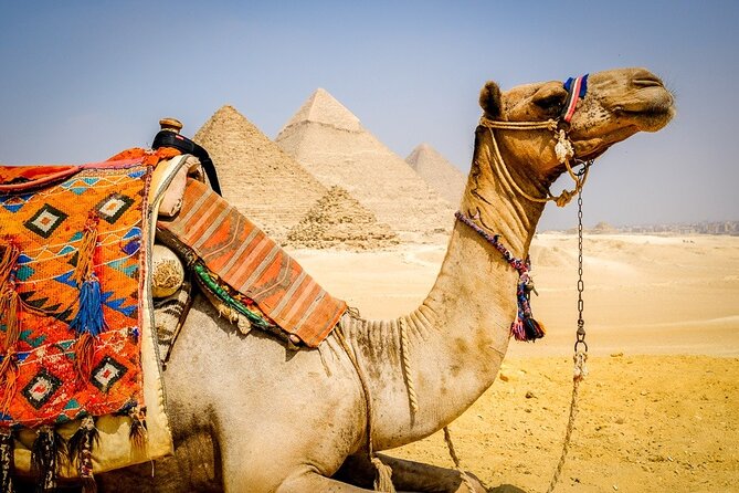 All INC- Pyramids,Camel Ride،(1 hour) four wheeler (ATV)& Lunch - Who This Tour Suits Best (and Who Might Skip It)