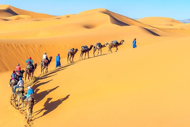 All Inclusive Day Tour To Cairo from Alexandria Port - Alexandria Port to Cairo: How the Big-Day Schedule Works