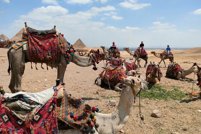 All inclusive Giza Pyramids ,Sphinx ,Lunch ,Camel&Inside pyramid - Value, price, and what $5 per person really means