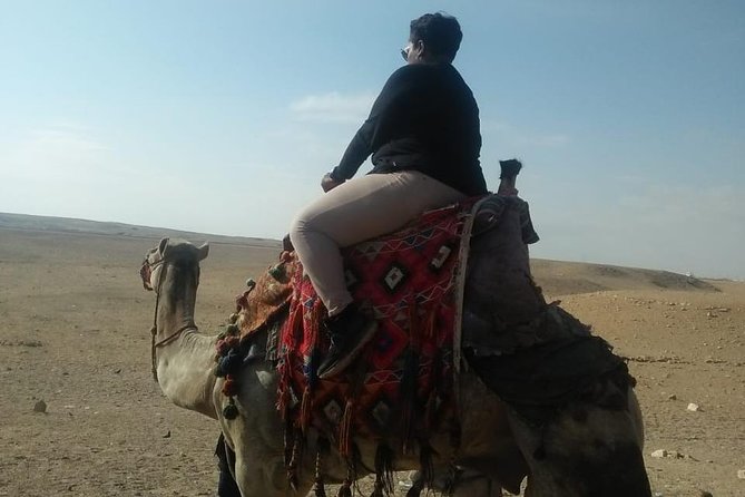 All Inclusive Private Cairo Layover Tour from Cairo Airport - The Egyptian Museum and King Tut Focus in Limited Time