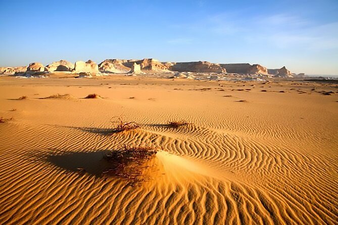 Allinclusive Private Tour Fayoum Oasis & Valley of Wales - Fayoum Oasis highlights: Birket Qarun, Mudawara Mountain, and more Magic Lake time
