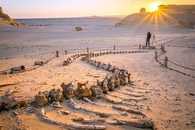 Allinclusive Private Tour Fayoum Oasis & Valley of Wales - Sandboarding is the star for the active traveler
