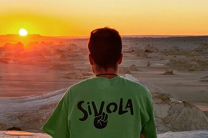 Black and White Desert and Bahariya Oasis Tour 2 Days 1 Night - Price and logistics: does $120 feel fair here