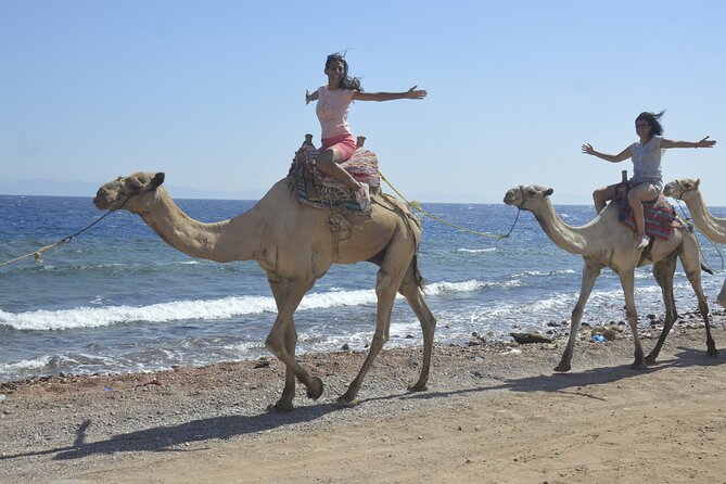 Blue Hole and Dahab City from Sharm El Sheikh - Heading to the beach, then the camel ride to Blue Hole
