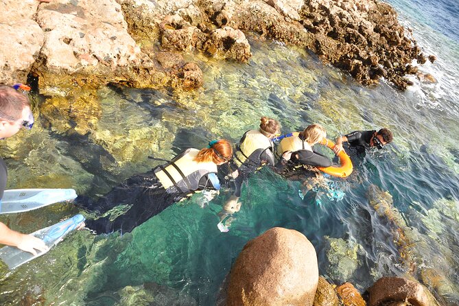 Blue Hole and Dahab City from Sharm El Sheikh - Snorkeling near the Blue Hole area, with coral and fish