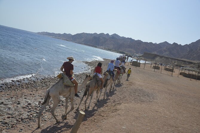 Blue Hole and Dahab City from Sharm El Sheikh - Blue Hole National Park entry, cash payment, and the free snorkeling option