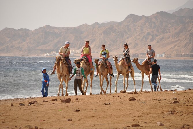 Blue Hole and Dahab City from Sharm El Sheikh - Price value: $15 is the transport and structure, not the full add-on day