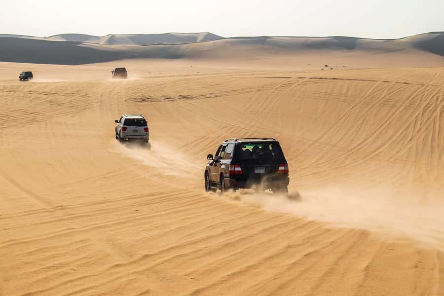 Cairo: 3-Day Siwa Oasis Tour, Safari, Camp & Historical Site - Price and value, what you actually get for $361