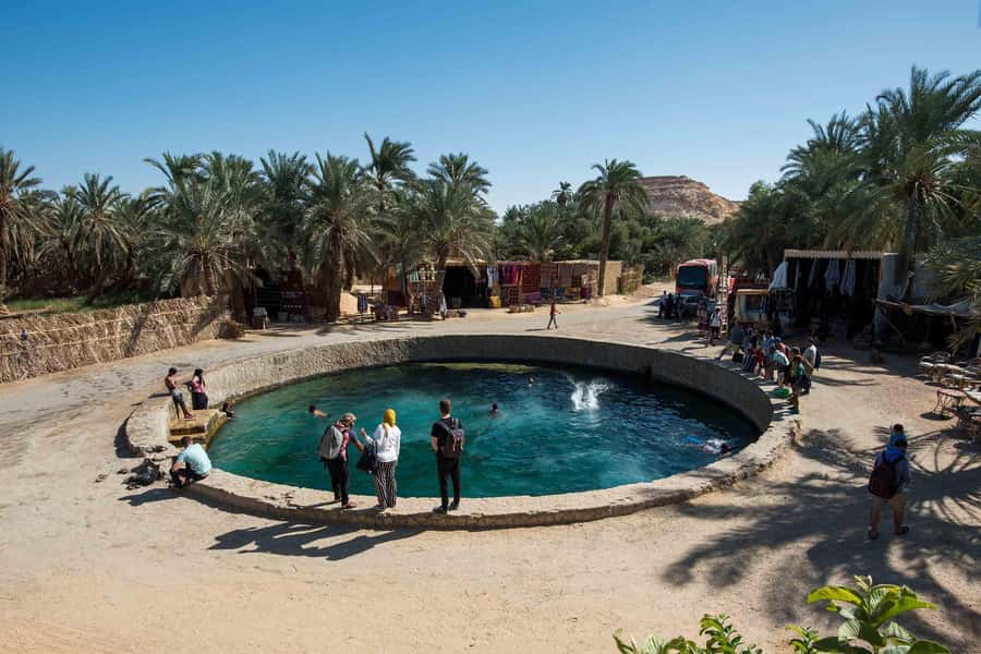 Cairo: 3-Day Siwa Oasis Tour, Safari, Camp & Historical Site - El Alamein Military Museum, WWII history in North Africa
