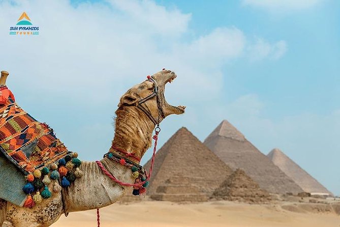 Cairo and Nile Cruise Tour - Key points that make this Cairo and Nile cruise tick
