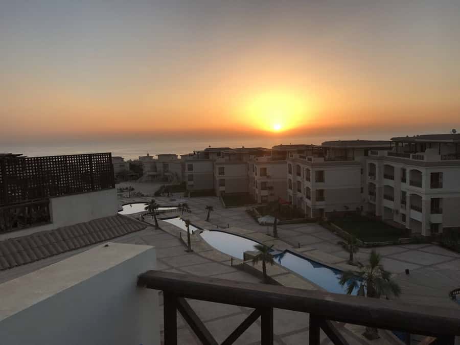 Cairo: Day Tour to the Red Sea with Lunch - Six Hours of Beach Time: Swimming, Sun, and Real Expectations