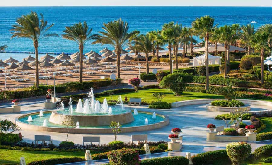 Cairo: Day Tour to the Red Sea with Lunch - Your Day Room by the Red Sea: Why It Changes Everything