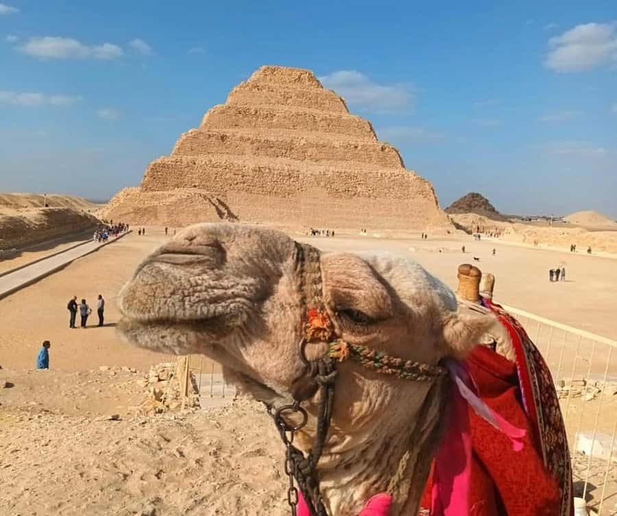Cairo: Djoser, Bent Pyramid & Memphis Day Trip - Key things to look forward to