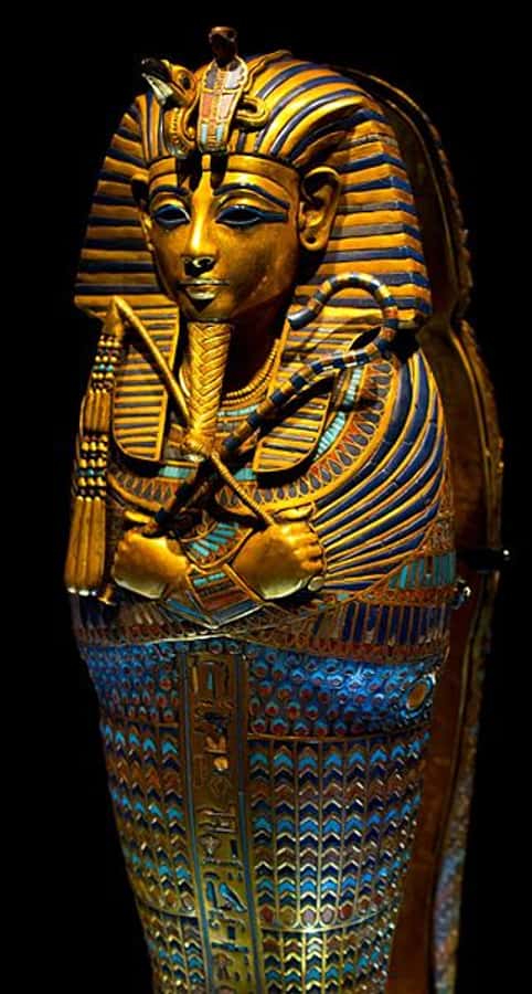 Cairo: Egyptian Museum 4-Hour Private Tour with Transfer - Tutankhamen’s gold and jewelry: what to notice during the stop