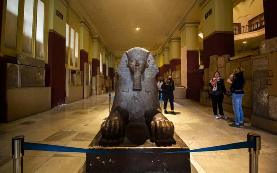 Cairo: Egyptian Museum Private Half Day Guided Tour - How the private guide changes everything