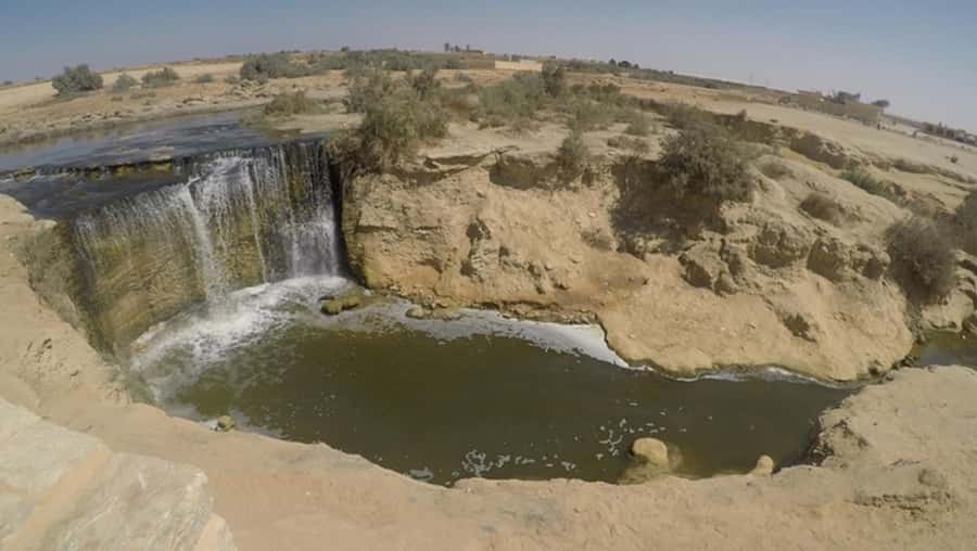 Cairo: Fayoum, Wadi El Rayan, and Wadi al Hitan 4x4 Tour - Key highlights to focus on