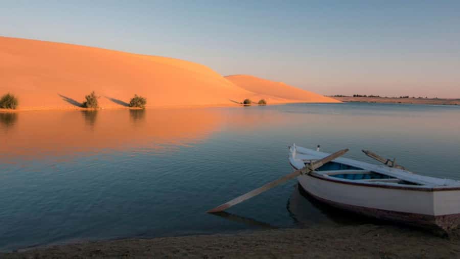 Cairo: Fayoum, Wadi El Rayan, and Wadi al Hitan 4x4 Tour - Practical tips that make the day smoother