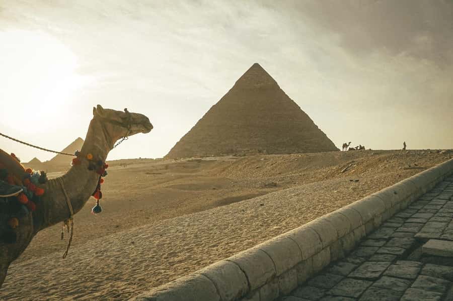 Cairo: Giza Pyramids Camel Ride and Egyptian Museum Tour - Lunch in a local restaurant: simple break, real taste