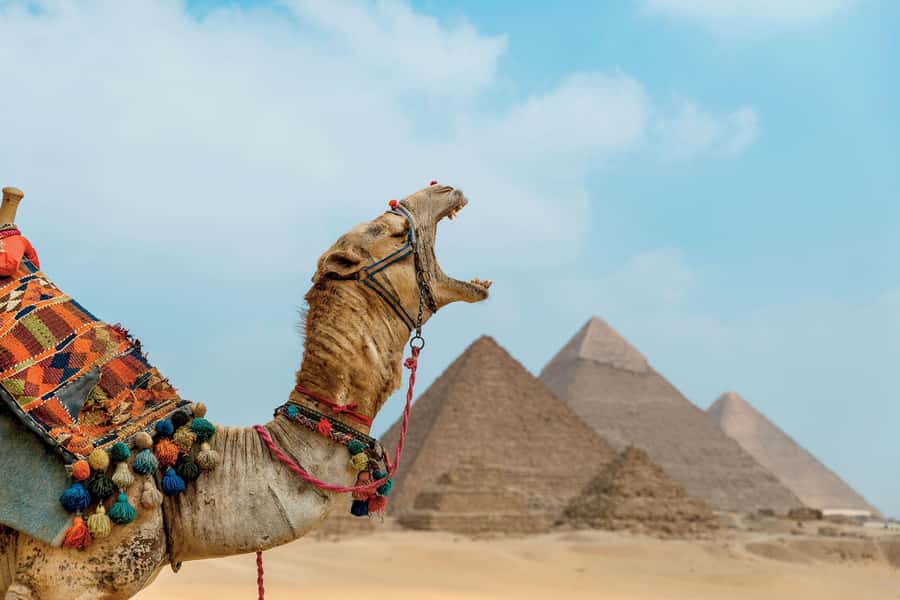 Cairo: Giza Pyramids Camel Ride and Egyptian Museum Tour - Price and value: is $125 fair for what you get?