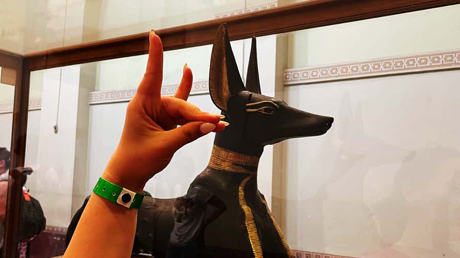 Cairo: Giza Pyramids, Egyptian Museum & Nile Dinner Cruise. - Price Value: Is $145 a Good Deal for This Mix?