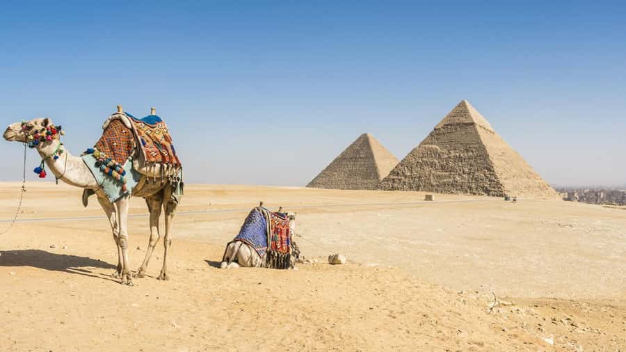 Cairo: Giza Pyramids, Memphis, Saqqara Private Tour & Lunch - Your Guide Is the Difference at Giza (And You’ll Feel It)