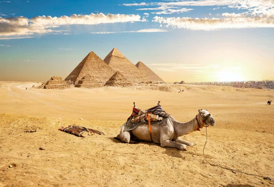 Cairo: Giza Pyramids, Memphis, Saqqara Private Tour & Lunch - Lunch at the End, and How to Use the Timing to Your Advantage