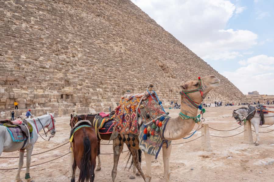 Cairo: Giza Pyramids, Museum & Tahrir Square Private Tour. - Great Sphinx and Chephren’s Valley Temple: The Story Behind the Stone