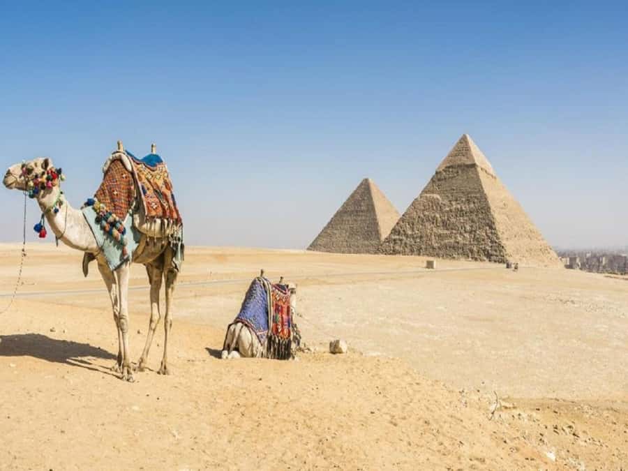 Cairo: Giza Pyramids, Sakkara & Dahshur All-Inclusive Tour - Getting great photos without wasting time