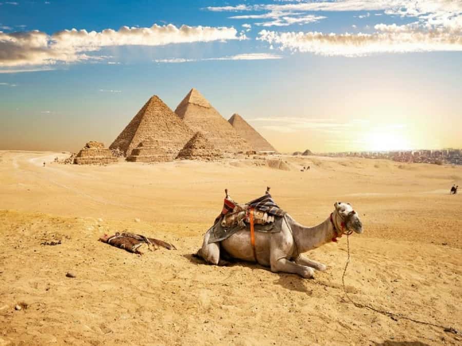 Cairo: Giza Pyramids, Sakkara & Dahshur All-Inclusive Tour - Price and value: is $70 a fair deal for a private day?