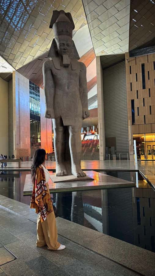 Cairo: Grand Egyptian Museum, Giza Pyramids and Sphinx Tour - Key things I’d plan around
