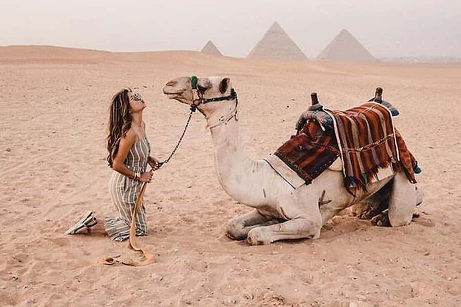 Cairo: Grand Egyptian Museum, Giza Pyramids and Sphinx Tour - GEM gardens: where you actually get good photos