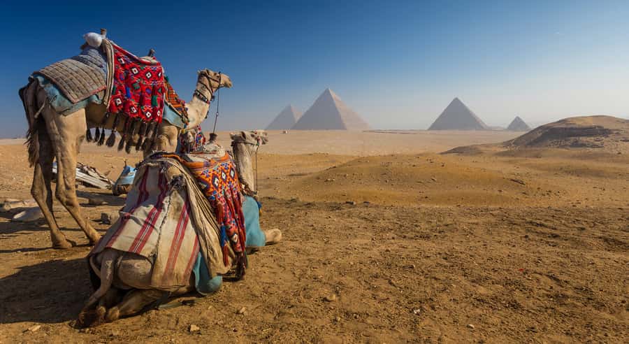 Cairo: Great Pyramids of Giza and Egyptian Museum Tour - From Cairo hotel pickup to the Giza start line