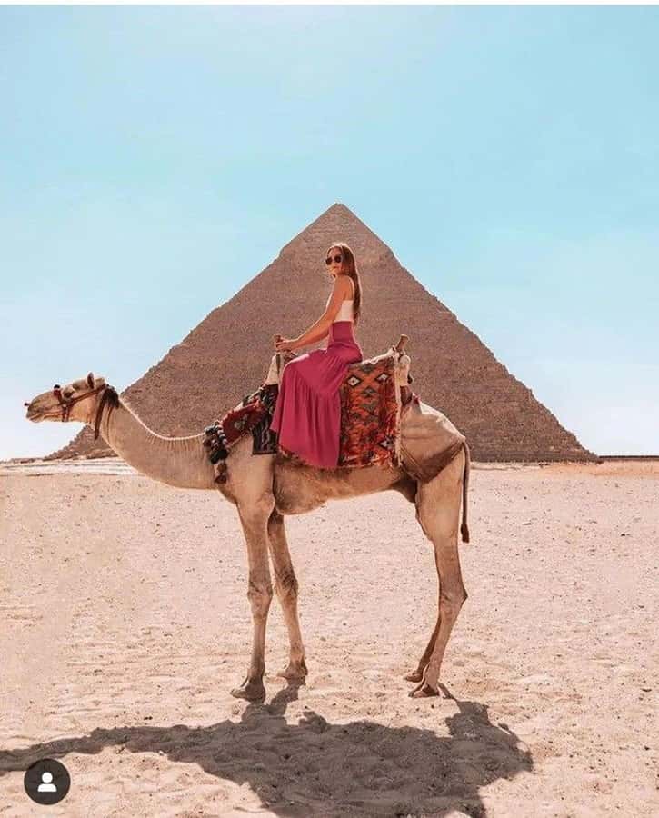 Cairo: Great Pyramids of Giza and Egyptian Museum Tour - Great Pyramids of Giza: how to look up smarter